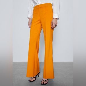 Zara Pleated Trouser Pant
